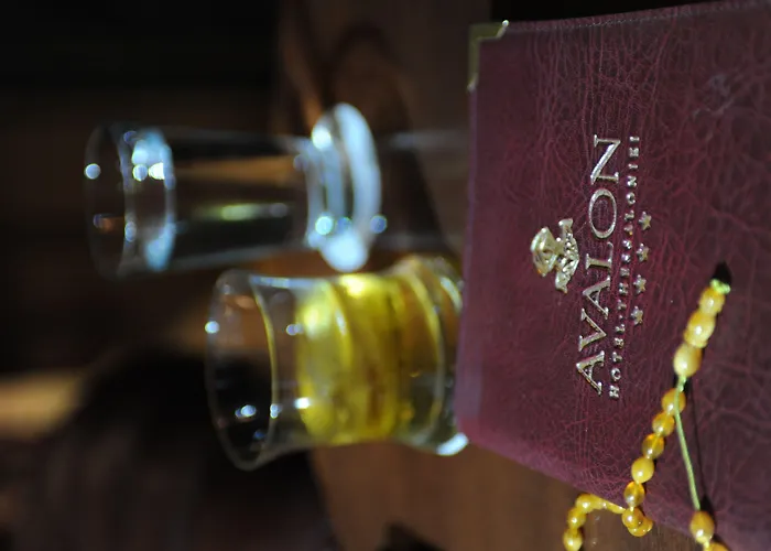 Otel Avalon Airport Thessaloniki Thérmi